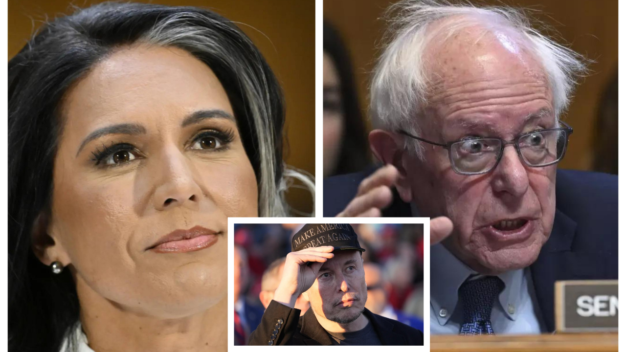 Elon Musk agrees Bernie Sanders is a fraud for voting ‘no’ on Tulsi Gabbard confirmation